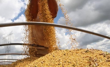 Conab: Brasil deve confirmar recorde na produção de grãos