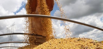 Conab: Brasil deve confirmar recorde na produção de grãos