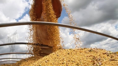 Conab: Brasil deve confirmar recorde na produção de grãos