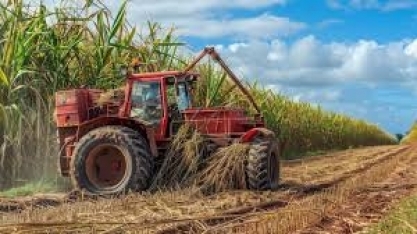 Moagem de cana do Centro-Sul cresce 34% na safra