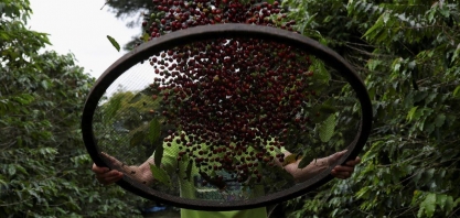 Exportação de café do Brasil tem 1ª alta mensal desde 2024, diz Cecafé