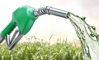 Etanol: Hidratado sobe 0,84% e anidro 0,78% na semana nas usinas de SP
