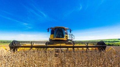 Valor da produção agropecuária no Brasil cai 4,6% em um ano