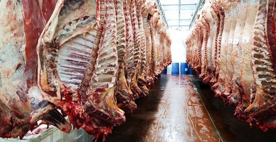 EUA:Setor de carne bovina tem alívio momentâneo com isenção de nova tarifa