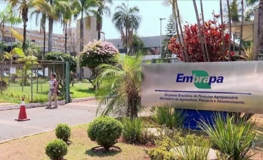 Resistência política trava nomeação em nova diretoria da Embrapa