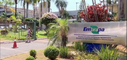 Resistência política trava nomeação em nova diretoria da Embrapa