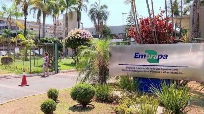 Resistência política trava nomeação em nova diretoria da Embrapa