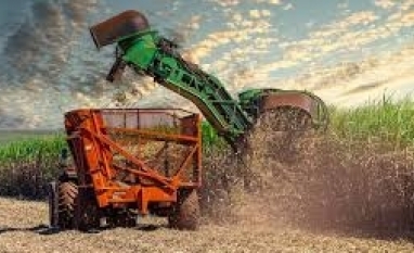  Agro paulista amplia exportações em 5%, mesmo diante dos desafios globais