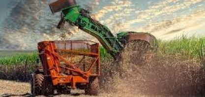  Agro paulista amplia exportações em 5%, mesmo diante dos desafios globais