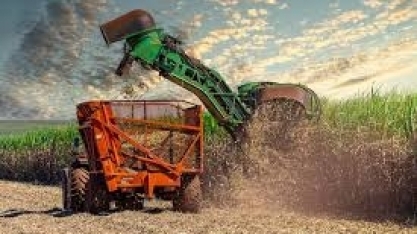  Agro paulista amplia exportações em 5%, mesmo diante dos desafios globais