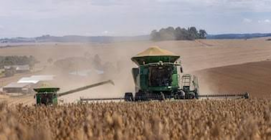 El Niño traz riscos à safra e empresas já avaliam saídas para conter perdas