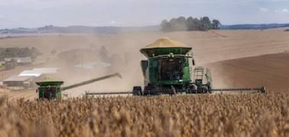 El Niño traz riscos à safra e empresas já avaliam saídas para conter perdas
