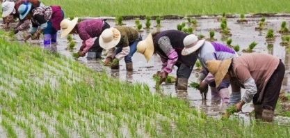 China transforma segurança alimentar em questão de Estado