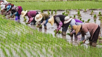 China transforma segurança alimentar em questão de Estado
