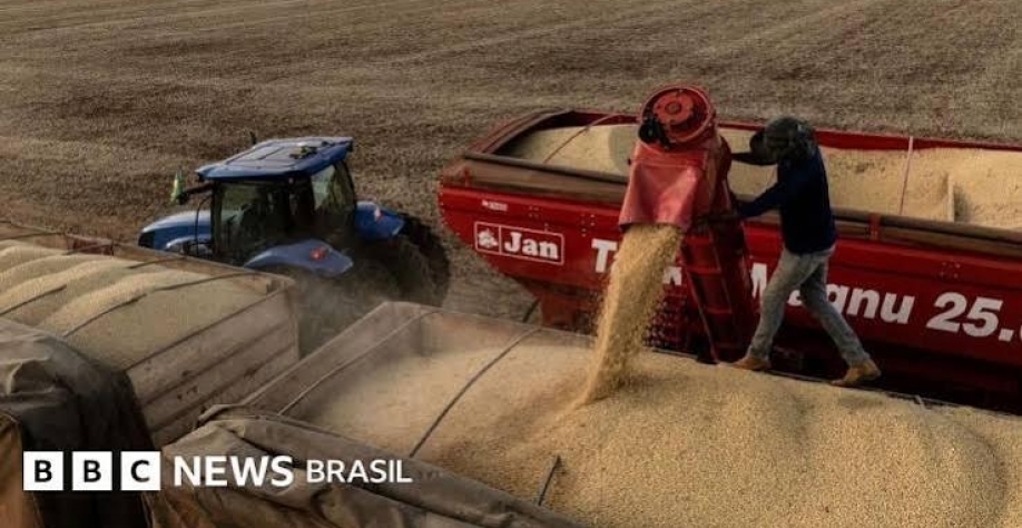 China quer reduzir dependência do agro brasileiro:O plano assusta o Brasil