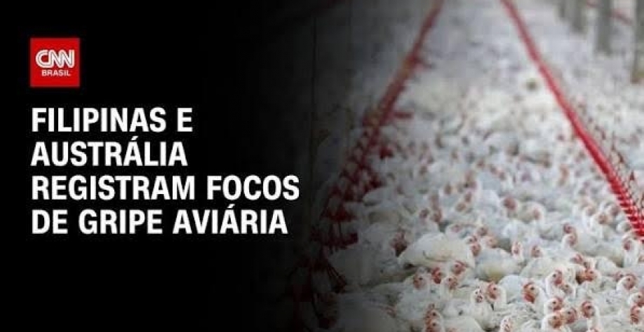 Filipinas e Austrália registram focos de gripe aviária