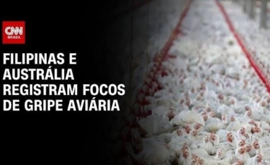 Filipinas e Austrália registram focos de gripe aviária
