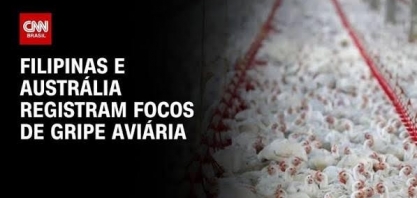 Filipinas e Austrália registram focos de gripe aviária