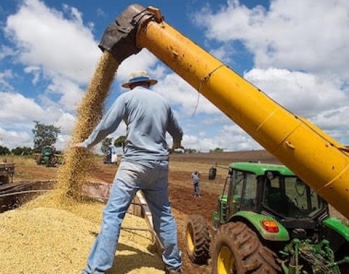 A força do agro em um cenário desafiador – Por Luiz Carlos Trabuco Cappi