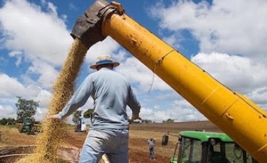 A força do agro em um cenário desafiador – Por Luiz Carlos Trabuco Cappi