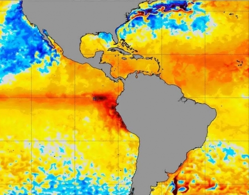 El Niño pode atrasar plantio de grãos,reduzir safras e dificultar pecuária 