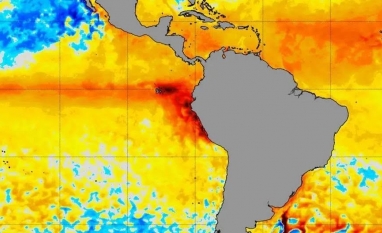 El Niño pode atrasar plantio de grãos,reduzir safras e dificultar pecuária 