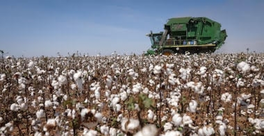 Liderar o agro mundial não basta, é preciso construir um projeto de país