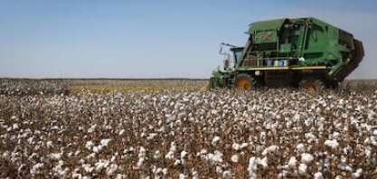 Liderar o agro mundial não basta, é preciso construir um projeto de país