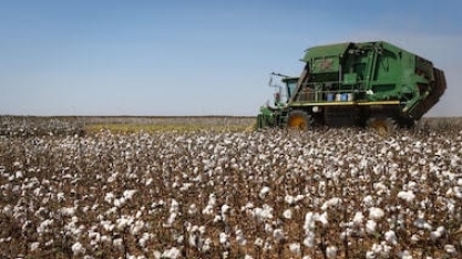 Liderar o agro mundial não basta, é preciso construir um projeto de país