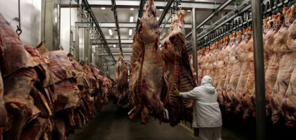 Preenchimento da cota da chinesa deve impactar 42 frigoríficos brasileiros