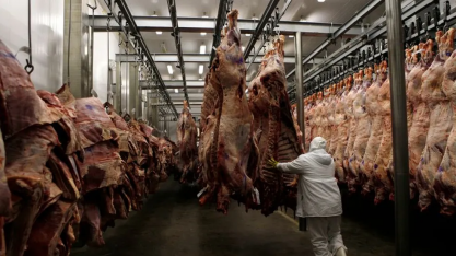 Preenchimento da cota da chinesa deve impactar 42 frigoríficos brasileiros