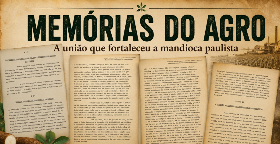 Memórias do Agro:A união que fortaleceu a produção de mandioca em São Paulo