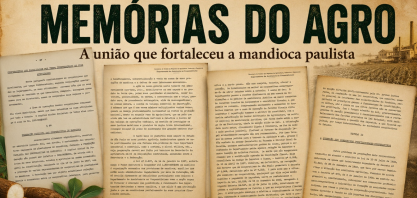 Memórias do Agro:A união que fortaleceu a produção de mandioca em São Paulo