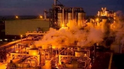 Raízen vende Usina Caarapó para a Adecoagro por R$ 760 milhões