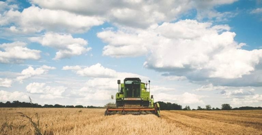 Plano Safra: Agro vê lacunas em dívidas e seguro