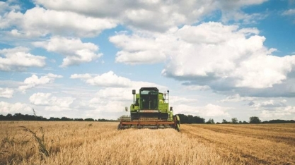 Plano Safra: Agro vê lacunas em dívidas e seguro