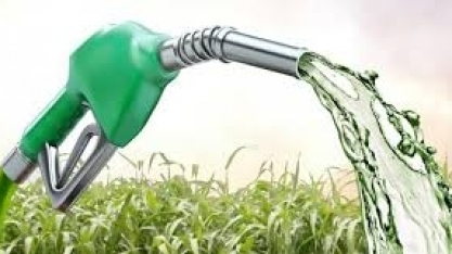 Etanol: Hidratado cai 2,68% e anidro 2,60% na semana nas usinas de SP