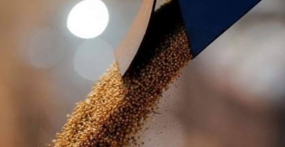 Acordo entre EUA e China ganha tração na soja; Brasil segue competitivo