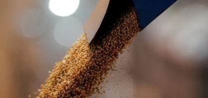 Acordo entre EUA e China ganha tração na soja; Brasil segue competitivo
