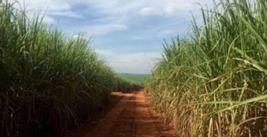 MP destina R$ 13,3 bilhões ao setor rural após tarifaço dos EUA