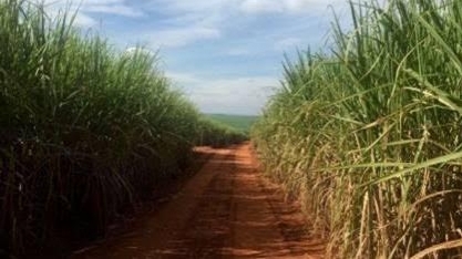 MP destina R$ 13,3 bilhões ao setor rural após tarifaço dos EUA