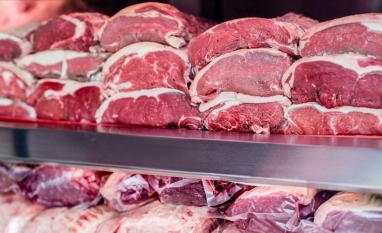 Exportação de carne bovina cresceu 15,5% no primeiro semestre