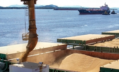 Importação de soja brasileira leva China a bater recorde em junho