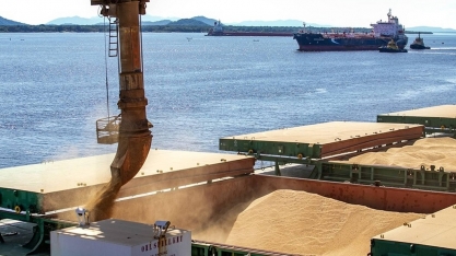 Importação de soja brasileira leva China a bater recorde em junho