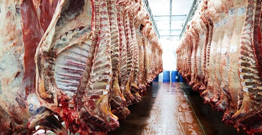 Exportações de carne bovina in natura batem recorde para o mês de junho