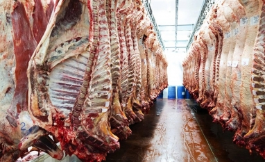 Exportações de carne bovina in natura batem recorde para o mês de junho