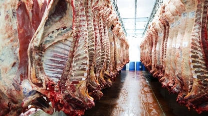 Exportações de carne bovina in natura batem recorde para o mês de junho