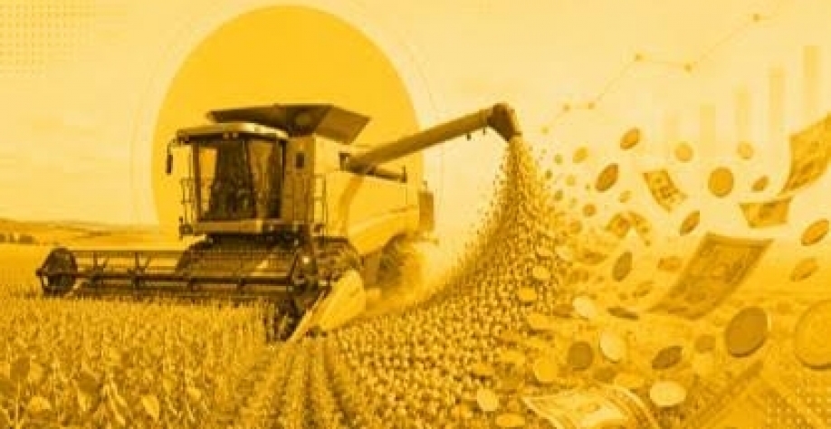 Ernst & Young: Agro precisa diversificar mercados e fortalecer governança