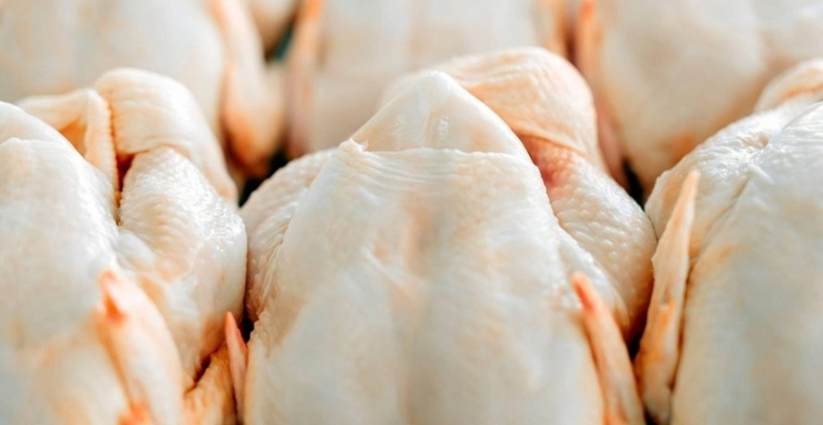 Exportações de carne de frango tiveram melhor 1º semestre da história