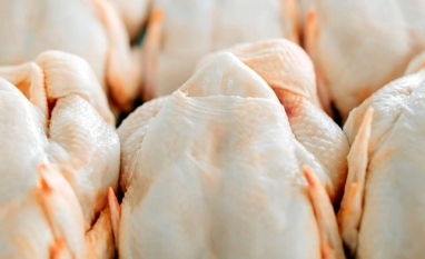 Exportações de carne de frango tiveram melhor 1º semestre da história